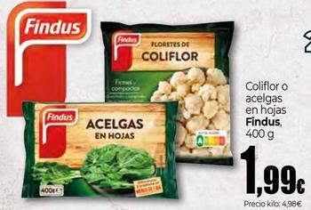 Oferta de Findus - Coliflor O Acelgas En Hojas por 1,99€ en Unide Market