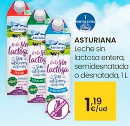 Oferta de Asturiana - Leche Sin Lactosa Entera por 1,19€ en Eroski