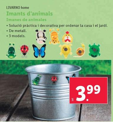 Oferta de Livarno - Imanes De Animales por 4,49€ en Lidl
