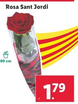 Oferta de Rosa Sant Jordi por 1,79€ en Lidl