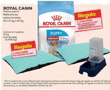 Oferta de Royal Canin - Pienso Perro por 80,99€ en Kiwoko