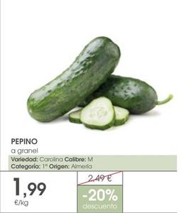 Oferta de Pepino por 1,99€ en Supermercados Plaza
