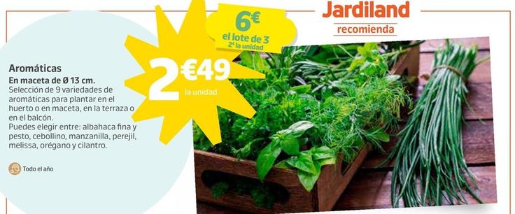 Oferta de Aromáticas por 2,49€ en Jardiland