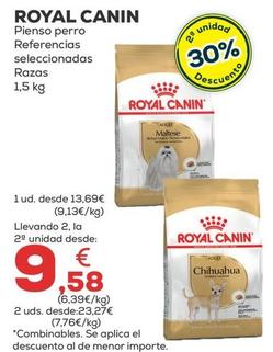 Oferta de Royal Canin - Pienso Perro por 13,69€ en Kiwoko