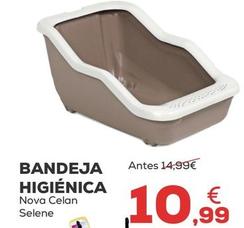 Oferta de Nova Clean - Bandeja Higienica por 10,99€ en Kiwoko