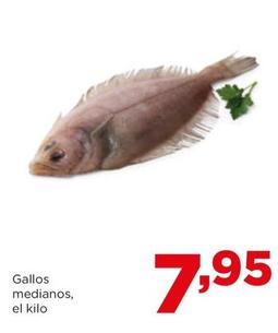 Oferta de Gallos Medianos por 7,95€ en Alimerka