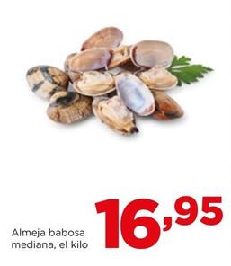 Oferta de Almeja Babosa Mediana por 16,95€ en Alimerka