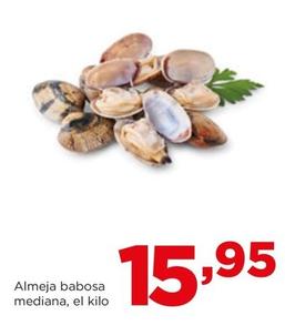 Oferta de Eroski - Almeja Babosa Mediana por 15,95€ en Alimerka
