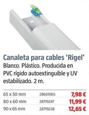 Oferta de Canaleta Para Cables 'Rigel' por 7,98€ en BAUHAUS