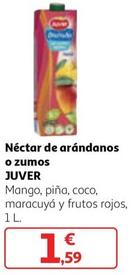 Oferta de Juver - Néctar De Arándanos / Zumos por 1,59€ en Alcampo