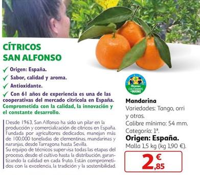 Oferta de Mandarina por 2,85€ en Alcampo
