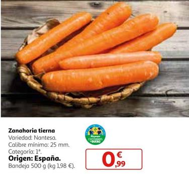 Oferta de Zanahoria Tierna por 0,99€ en Alcampo