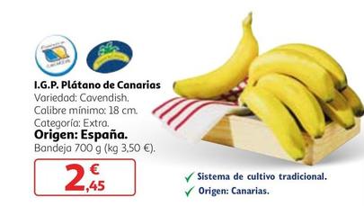 Oferta de I.G.P. Plátano De Canarias por 2,45€ en Alcampo
