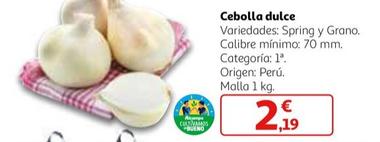 Oferta de Cebolla Dulce por 2,19€ en Alcampo