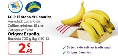 Oferta de I.g.p. Plátano De Canarias por 2,45€ en Alcampo