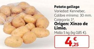 Oferta de Patata Gallega por 4,25€ en Alcampo