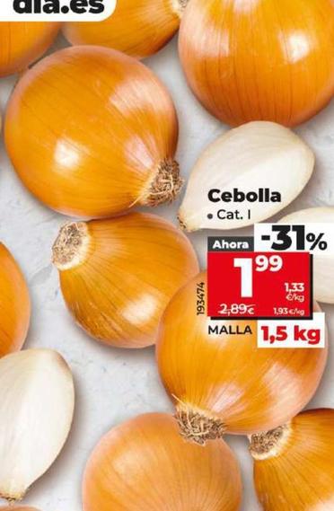 Oferta de Cebolla por 1,99€ en Dia