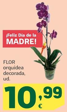 Oferta de Flor - Orquídea Decorada por 10,99€ en HiperDino