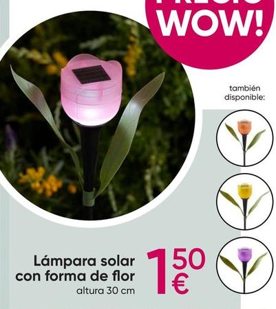 Oferta de Lámpara solar por 1,5€ en Pepco