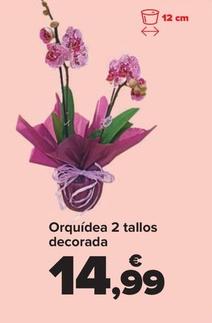 Oferta de Orquidea 2 Tallos Decorada por 14,99€ en Carrefour