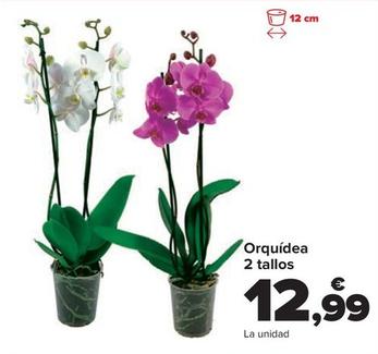 Oferta de Orquídea 2 tallos por 12,99€ en Carrefour