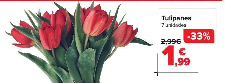 Oferta de Tulipanes por 1,99€ en Carrefour