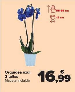 Oferta de Orquídea azul  2 tallos por 16,99€ en Carrefour