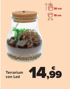 Oferta de Terrarium con Led por 14,99€ en Carrefour