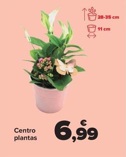 Oferta de Centro plantas por 6,99€ en Carrefour