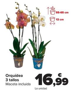 Oferta de Orquídea  3 tallos por 16,99€ en Carrefour