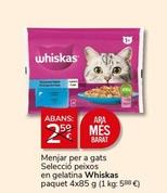 Oferta de Comida para gatos en Supermercados Charter