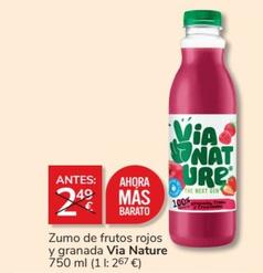Oferta de Via Nature Zumo De Frutos Rojos Y Granada por 2€ en Consum