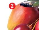 Oferta de Fruta Pasion por 12€ en E.Leclerc