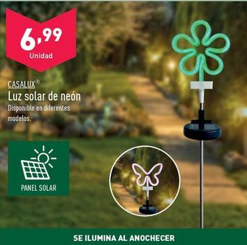 Oferta de Casalux - Luz Solar De Neon por 6,99€ en ALDI