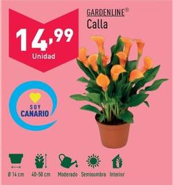 Oferta de Gardenline - Calla por 14,99€ en ALDI