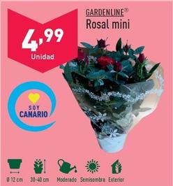 Oferta de Gardenline - Rosal Mini por 4,99€ en ALDI