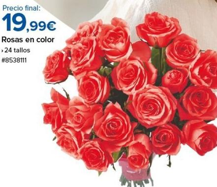 Oferta de Rosas por 19,99€ en Costco