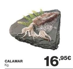 Oferta de Calamar por 16,95€ en Supercor