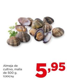 Oferta de Almejas De Cultivo por 5,95€ en Alimerka
