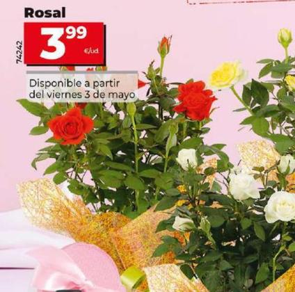 Oferta de Rosal por 3,99€ en Dia