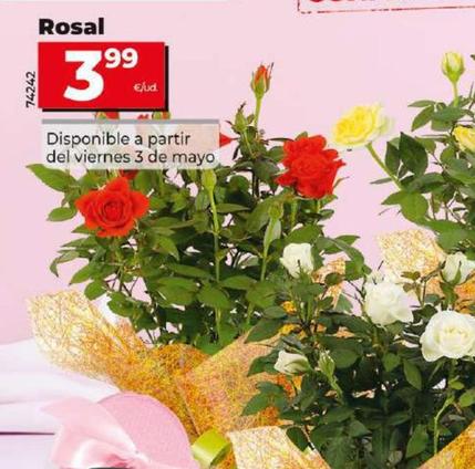 Oferta de Rosal por 3,99€ en Dia