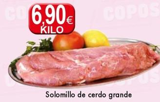 Oferta de Solomillo de cerdo por 6,9€ en Congelados Copos