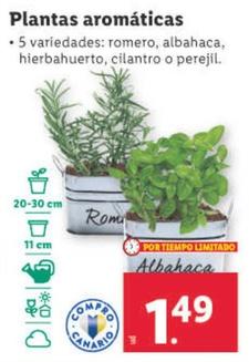 Oferta de Plantas Aromaticas por 1,49€ en Lidl