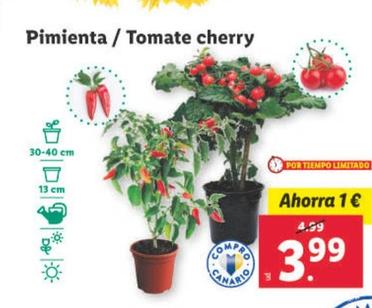 Oferta de Pimienta / Tomate Cherry por 3,99€ en Lidl
