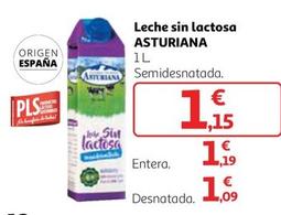 Oferta de Asturiana - Leche Sin Lactosa por 1,15€ en Alcampo