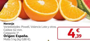 Oferta de Naranja por 4,39€ en Alcampo