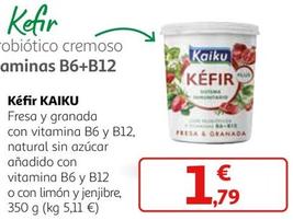 Oferta de Kaiku - Kefir por 1,79€ en Alcampo