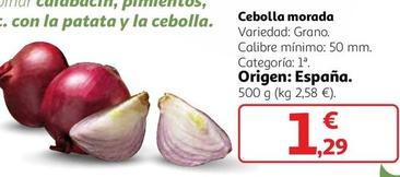 Oferta de Cebollas Morada por 1,29€ en Alcampo