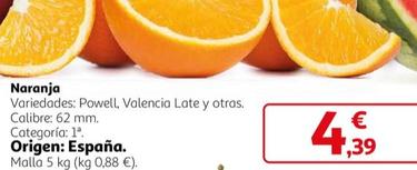 Oferta de Naranja por 4,39€ en Alcampo