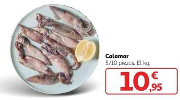 Oferta de Calamar por 10,95€ en Alcampo